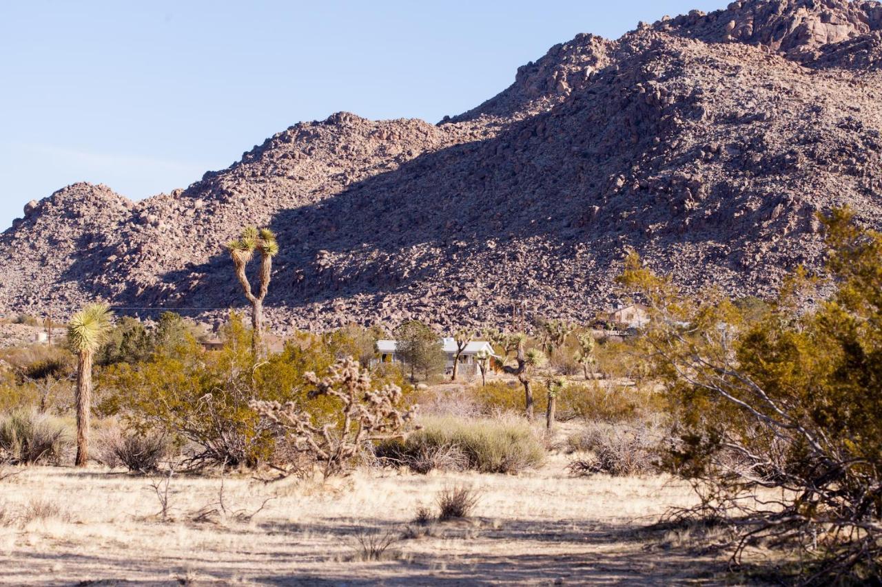 @ Marbella Lane - 10 Acres Oasis Desert Retreat! Joshua Tree Exterior foto